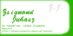 zsigmond juhasz business card